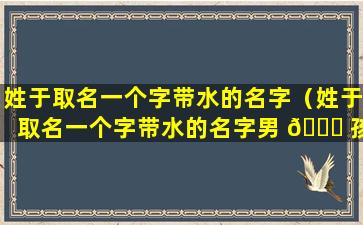 姓于取名一个字带水的名字（姓于取名一个字带水的名字男 🐞 孩）